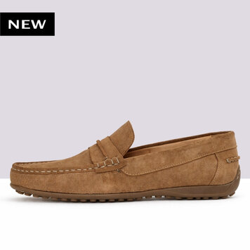 Ambiorix RIVANO SUEDE SENSO NUT