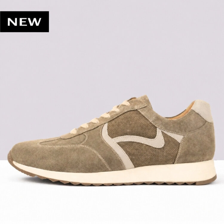 Ambiorix RIVARIOS SUEDE SENSO COCCO + OAT 243 PANAMA MIEL