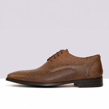 Ambiorix KELTON-LI+ EDENS MARRON