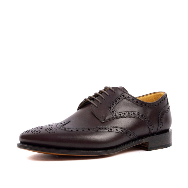 Ambiorix REVERSO ANILCALF  BLACK 816 -8 GDY/SGL LTH