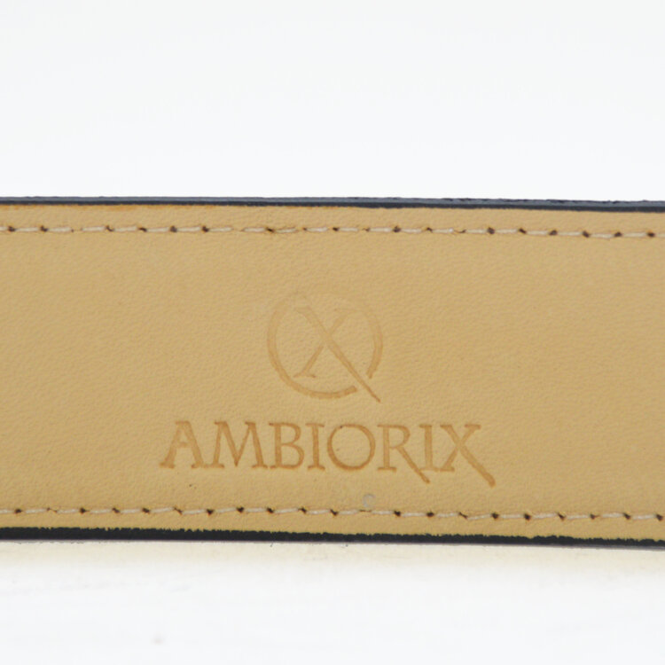 Ambiorix CEINTURE R02 NEW BOX BLACK 35MM BOUCLE G01