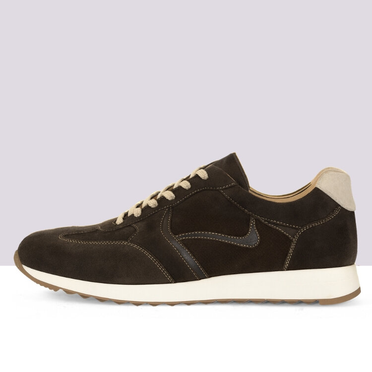 Ambiorix RIVARIOS SUEDE SENSO AFRICA 243 PANAMA MIEL