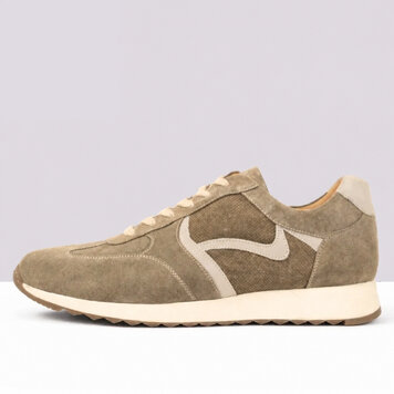 Ambiorix RIVARIOS SUEDE SENSO COCCO + OAT