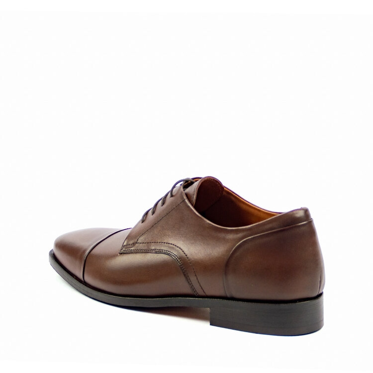 Ambiorix BASCO-LI NEW BOX DARK BROWN 325 116-10 LTH+INLAY