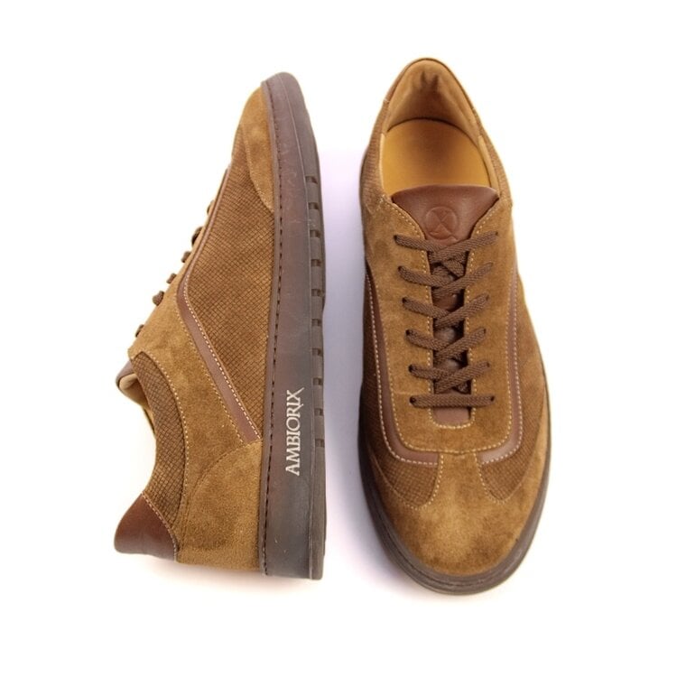 Ambiorix SYRO SUEDE ACORN 450 GIORDAN TOBACCO
