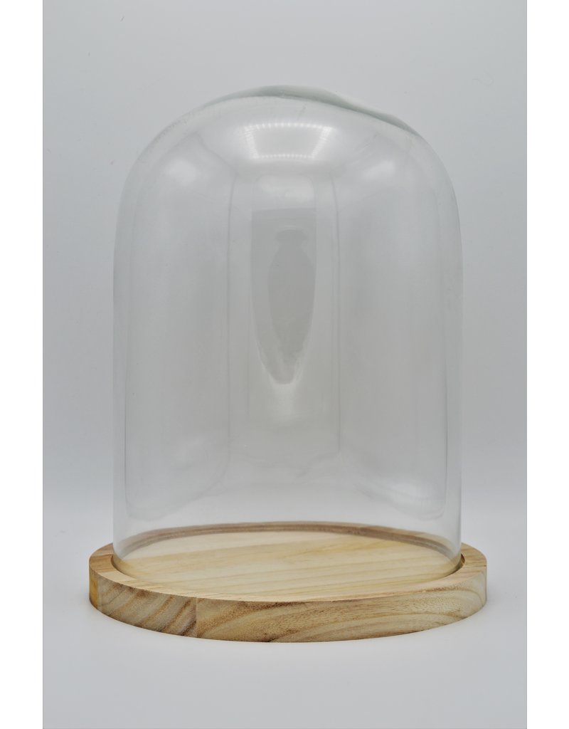 . Glass dome extra large 23x30cm