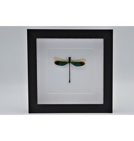 Nature Deco Green dragonfly in luxury 3D frame