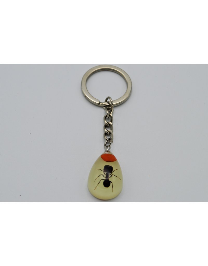 . Insects keychain #6