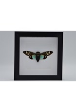 Nature Deco Toseana Splendida in luxury 3D frame 17 x 17cm