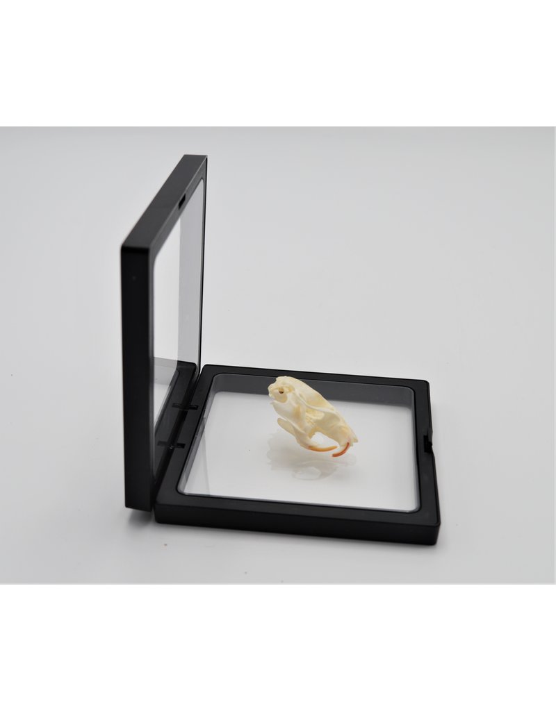 . Plastic foil frame with holder 11 x 11cm