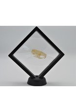 . Plastic foil frame with holder 11 x 11cm