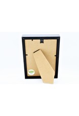 Nature Deco Urania Ripheus dubbel in luxe 3D lijst 20,3 x 15,3cm