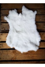 . Rabbit skin White