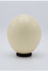 . Ostrich egg