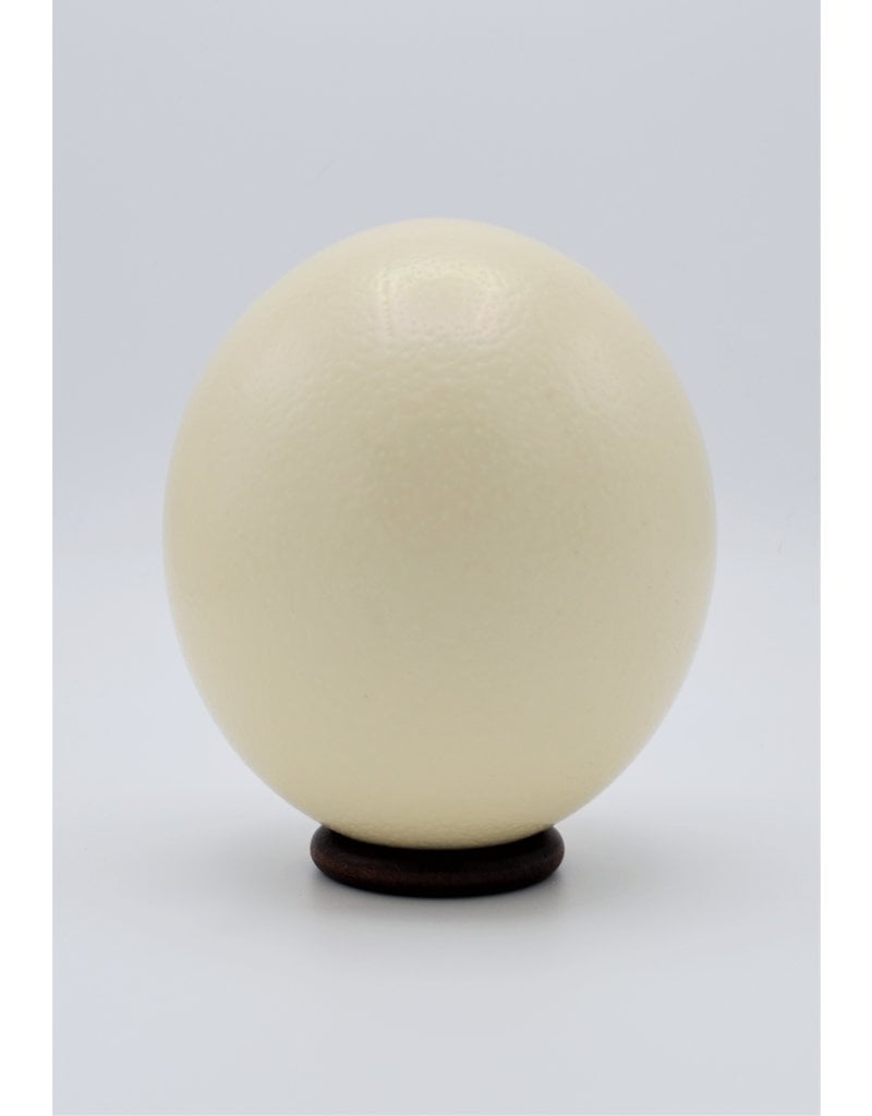 . Ostrich egg