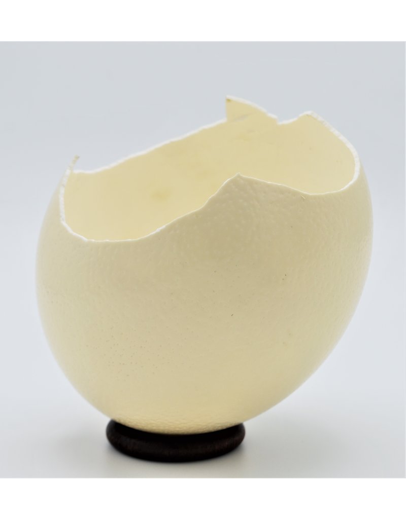 . Broken ostrich egg
