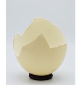 . Broken ostrich egg