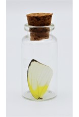 Nature Deco Butterfly wing wish bottle random