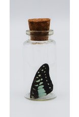 Nature Deco Butterfly wing wish bottle random