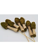 . Moss mushroom trio on a stick