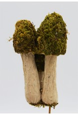 . Moss mushroom trio on a stick
