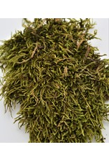 . Dried moss10 gram