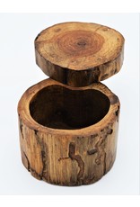 . Tree trunk box