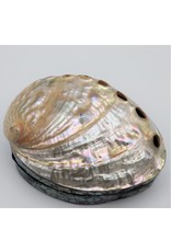 . Shellbox Abalone
