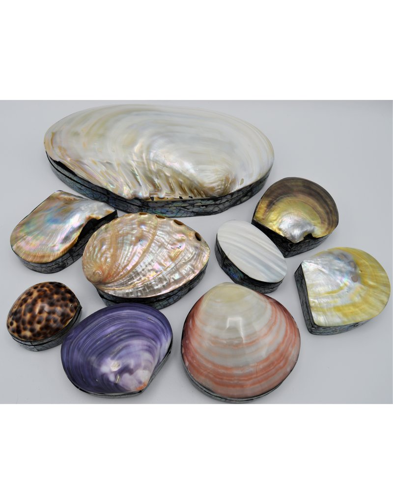 . Shellbox Abalone