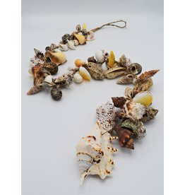 . Shells cord