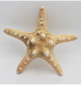 . Starfish luxury