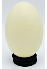 . Rhea egg (Rhea americana)