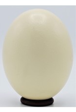 . Ostrich egg