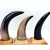 . Cow horn polished with  wood base