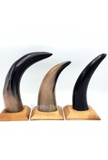 . Cow horn polished with wood base 22cm