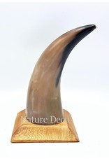 . Cow horn polished with wood base 22cm