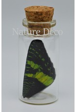 Nature Deco Urania Ripheus upper wing wish bottle