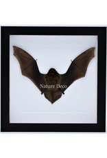 Nature Deco Flying bat in luxury 3D frame 22x22cm