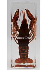 . Lobster in resin
