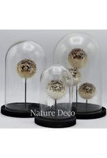 Nature Deco Egelvis in stolp  14 x 21cm