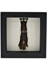 Nature Deco Bat hanging in 3D frame 14 x 14cm