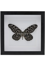 Nature Deco Idea Lynceus in luxury 3D frame 22 x 22cm