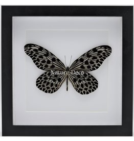 Nature Deco Idea Lynceus in luxury 3D frame