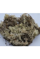 . Box reindeermoss naturel 50gram