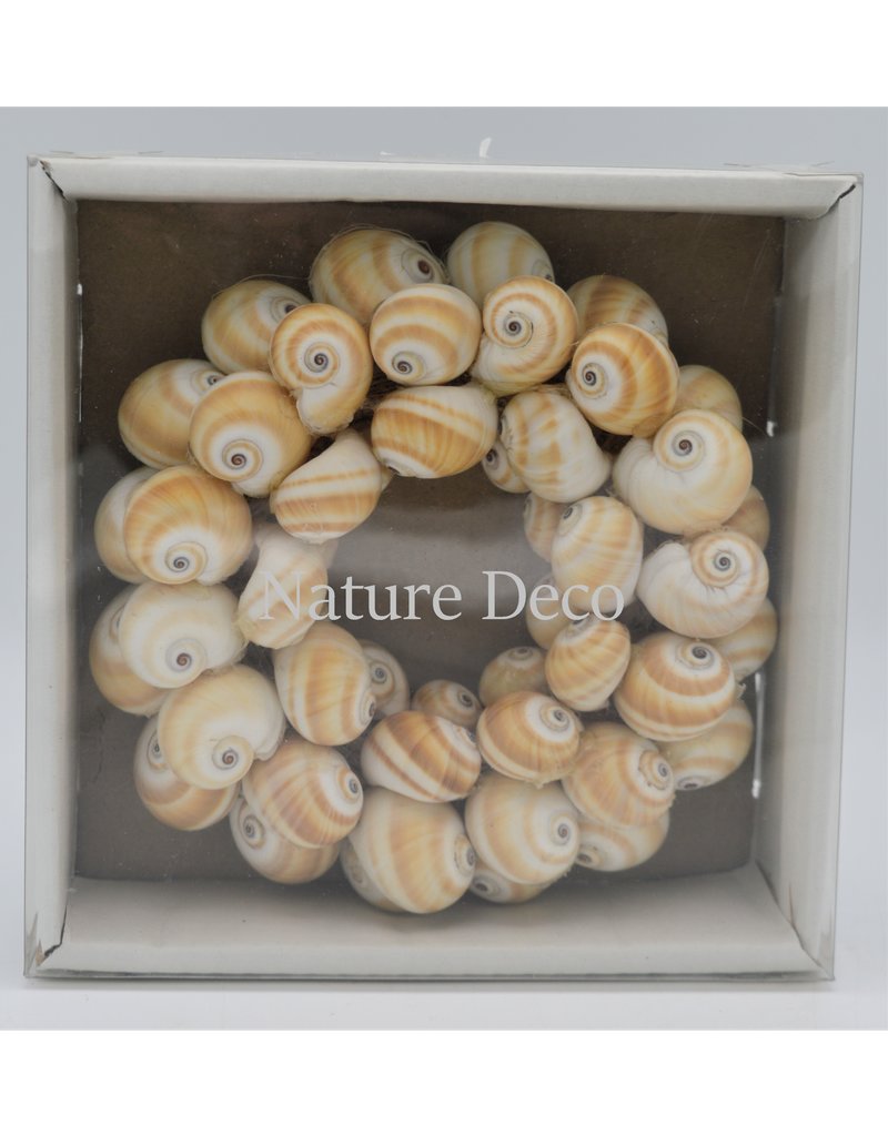 . Shell wreath Mattugan 15 x 15 cm