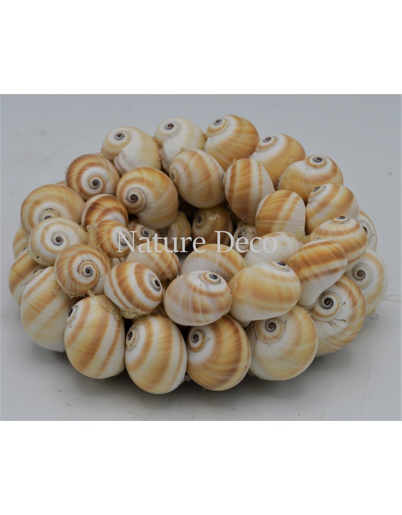 . Shell wreath Mattugan 15 x 15 cm
