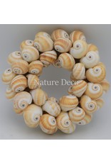 . Shell wreath Mattugan 15 x 15 cm