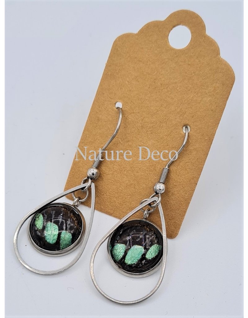 Nature Deco Earring drop Sarpedon Graphium