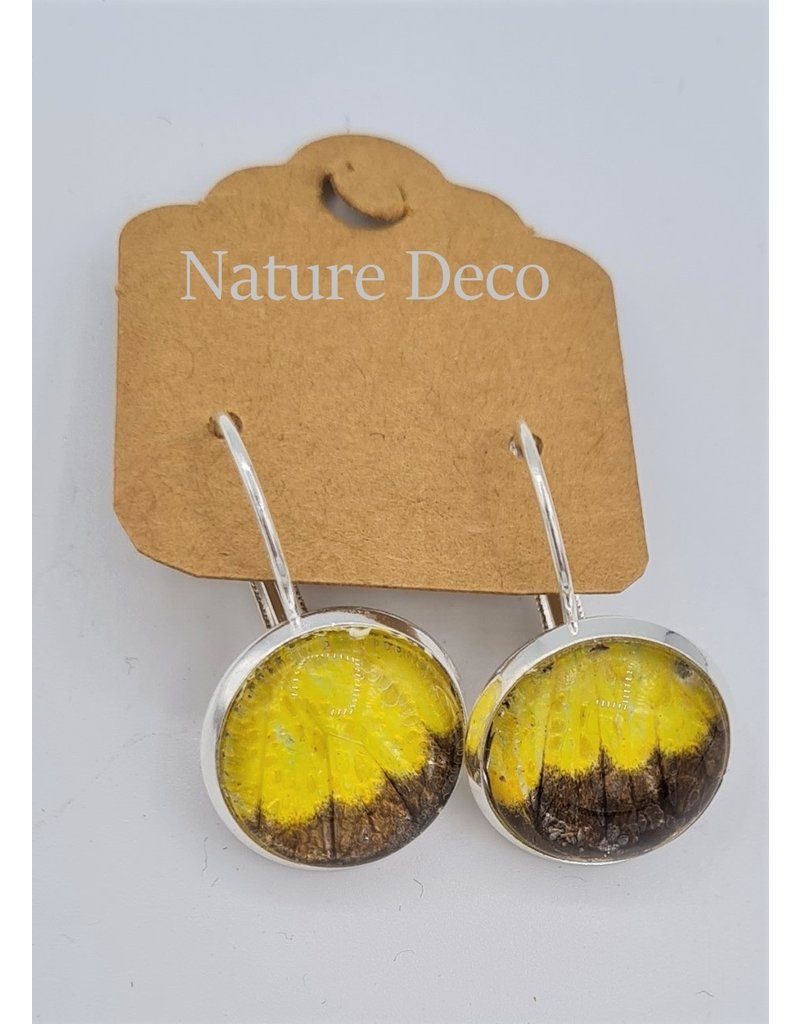 Nature Deco Earring hanging Lyncida