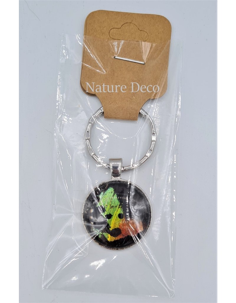 Nature Deco Keychain Urania